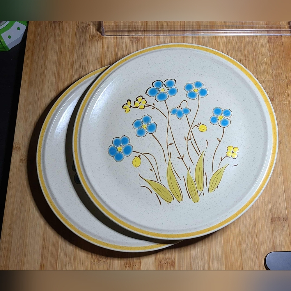 Floral Patterned Dinner Plates